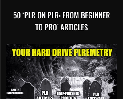 50 PLR On PLR From Beginner To Pro Articles Anonymous - BoxSkill net
