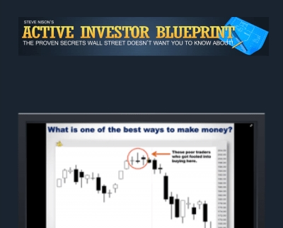Active Investor Blueprint Steve Nison1 - BoxSkill net