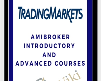 AmiBroker Introductory and Advanced Courses - BoxSkill