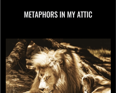 Andrew Austin Metaphors in My Attic - BoxSkill net