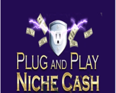 Andrew Hansen E28093 Plug and Play Niche Cash - BoxSkill net