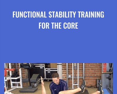 Functional Stability Training for the Core E28093 Mike Reinold and Eric Cressey - BoxSkill net