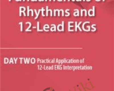 Fundamentals of Rhythms and 12 Lead EKGs - BoxSkill - Get all Courses