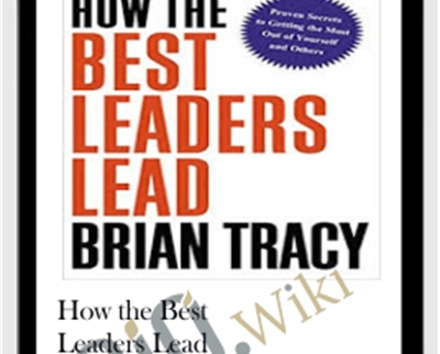 How the Best Leaders Lead - BoxSkill net