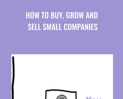 How to Buy2C Grow and Sell Small Companies - BoxSkill