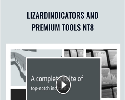 LizardIndicators E28093 LizardIndicators and Premium Tools NT8 - BoxSkill net