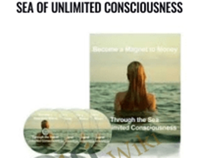 Magnet To Money Through the Sea of Unlimited Consciousness Bob Proctor Michele Blood - BoxSkill net