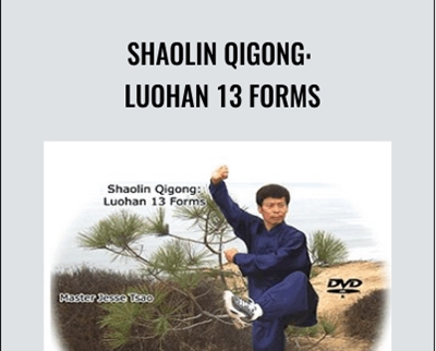 Master Tsao Shaolin Qigong Luohan 13 Forms - BoxSkill