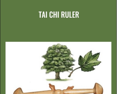 Masterworks International Tai Chi Ruler - BoxSkill
