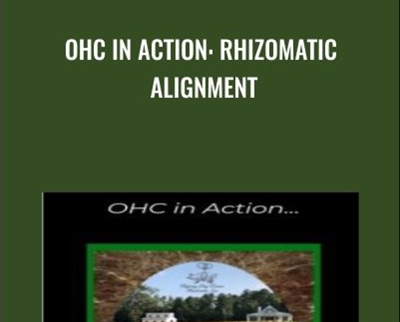 OHC in Action Rhizomatic Alignment - BoxSkill net