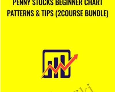 Penny Stocks Beginner Chart Patterns Tips 2Course Bundle - BoxSkill