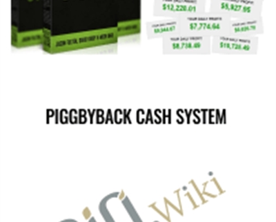 Piggbyback Cash System - BoxSkill net