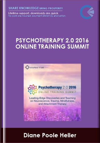 Psychotherapy 2.0 2016 Online Training Summit - Diane Poole Heller