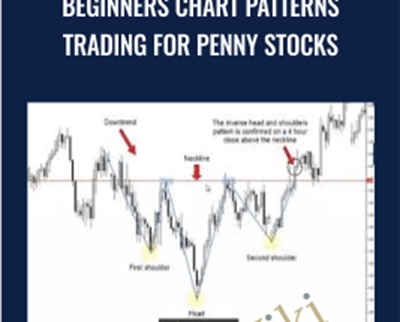 Saad Tariq Hameed Beginners Chart Patterns Trading for Penny Stocks - BoxSkill
