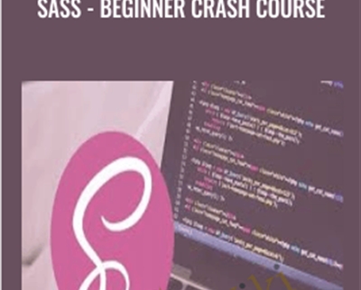Sandy Ludosky SASS Beginner Crash Course - BoxSkill net