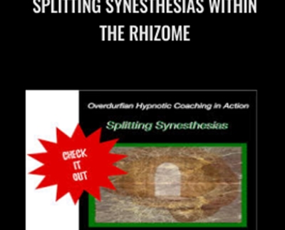 Splitting Synesthesias within the Rhizome - BoxSkill net