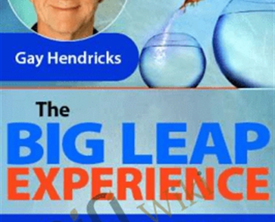 $85 - The Big Leap Experience - Gay Hendricks