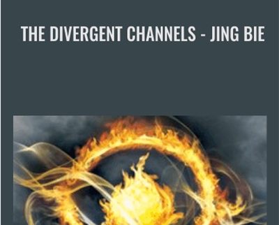 The Divergent Channels Jing Bie David Twicken - BoxSkill
