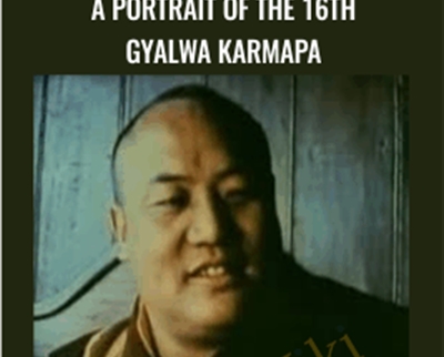 The Lions Roar E28093 A Portrait of the 16th Gyalwa Karmapa - BoxSkill net