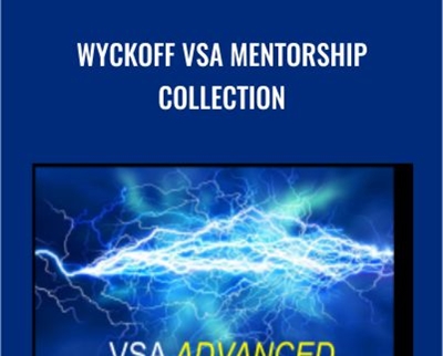 Tradeguider E28093 Wyckoff VSA Mentorship Collection - BoxSkill net