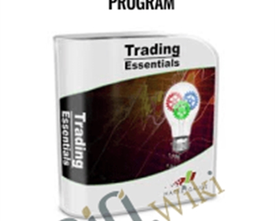 Trading Essentials Mentoring Program E28093 MarketGauge - BoxSkill net
