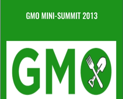 V A GMO mini summit 2013 - BoxSkill