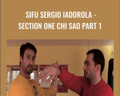 Wing Tjun Sifu Sergio Iadorola Section One Chi Sao Part 1 - BoxSkill