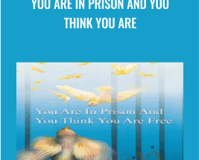 You Are in Prison and You Think You Are - BoxSkill net