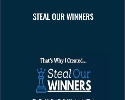 Steal Our Winners Rich Schefren - BoxSkill net