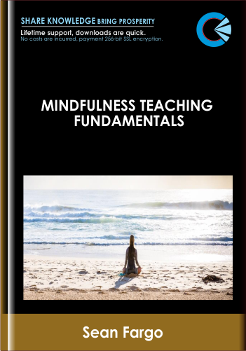 Only $147, Mindfulness Teaching Fundamentals - Sean Fargo