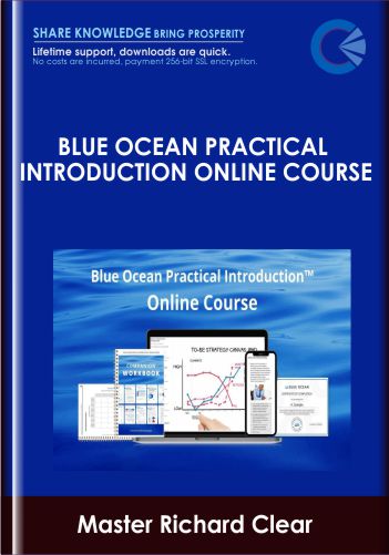Blue Ocean Practical Introduction Online Course - Blue Ocean Strategy