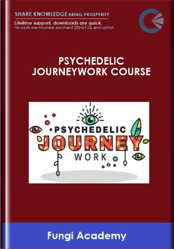 Psychedelic Journeywork Course - Fungi Academy
