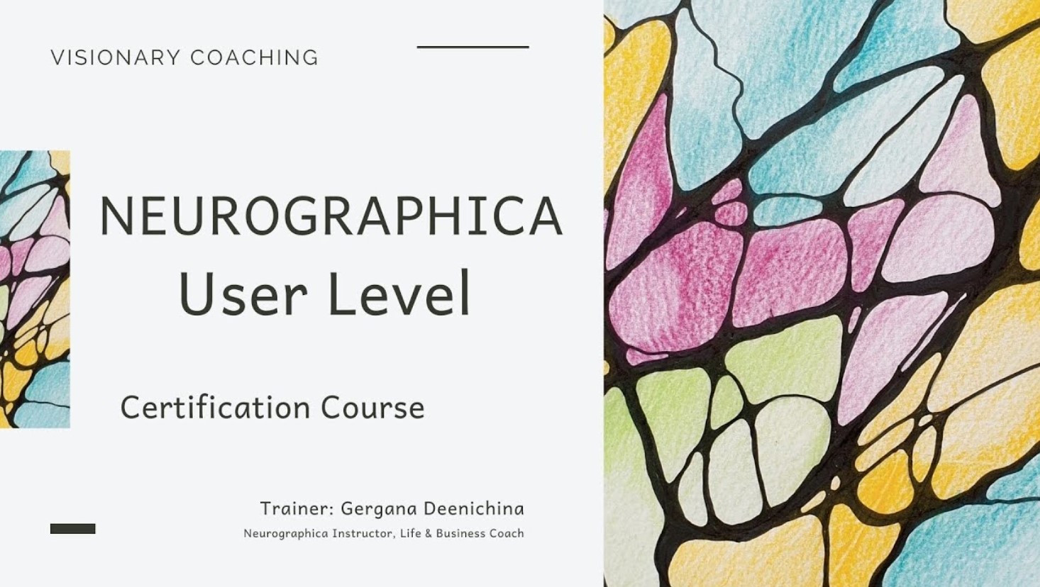 Basic User Level (Beginner) Certification Course - Neurographica