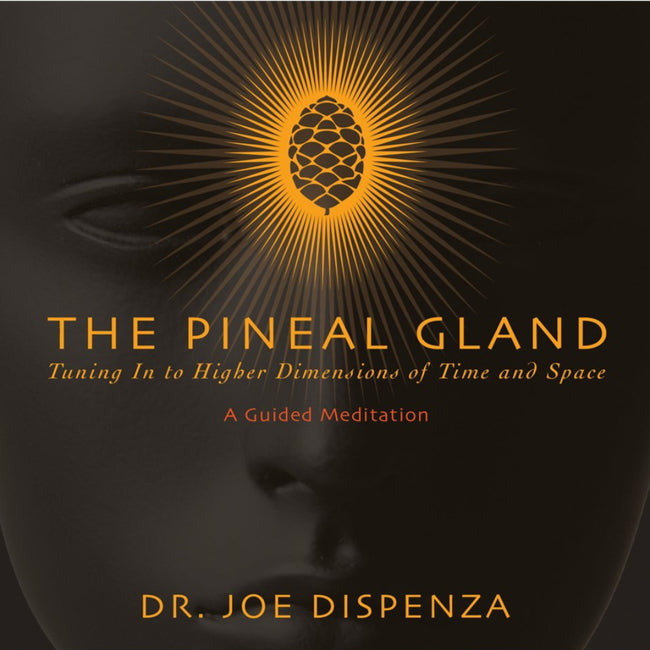 Tuning In To Higher Dimensions of Time and Space - Dr. Joe Dispenza