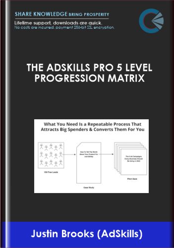 The AdSkills Pro 5 Level Progression Matrix - Justin Brooks (AdSkills)