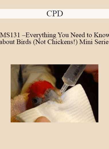 Purchuse CPD - MS131 – Everything You Need to Know about Birds (Not Chickens!) Mini Series course at here with price $479 $114.