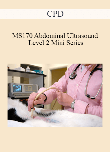 Purchuse CPD - MS170 Abdominal Ultrasound Level 2 Mini Series course at here with price $479 $114.