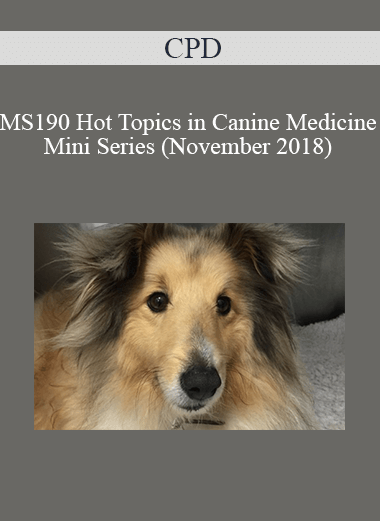 Purchuse CPD - MS190 Hot Topics in Canine Medicine Mini Series (November 2018) course at here with price $479 $114.