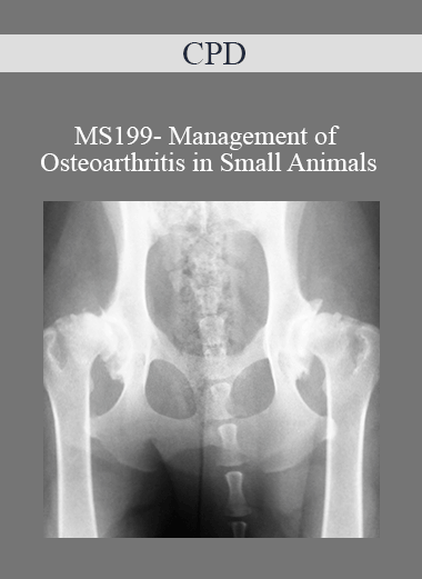 Purchuse CPD - MS199- Management of Osteoarthritis in Small Animals course at here with price $479 $114.
