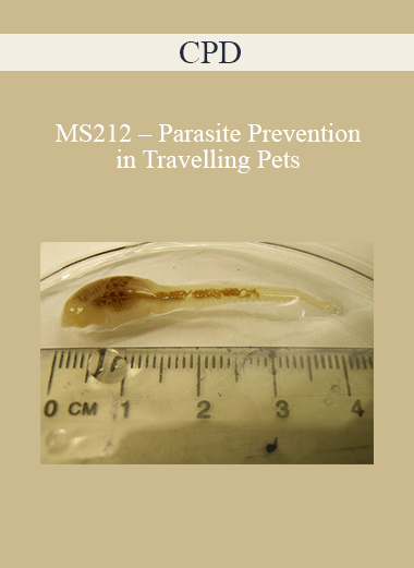 Purchuse CPD - MS212 – Parasite Prevention in Travelling Pets course at here with price $479 $114.