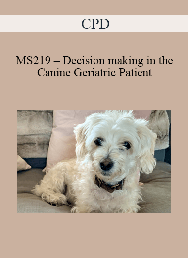 Purchuse CPD - MS219 – Decision making in the Canine Geriatric Patient course at here with price $479 $114.
