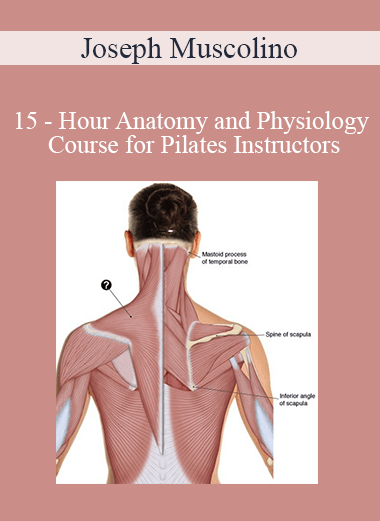Purchuse Joseph Muscolino - 15 - Hour Anatomy and Physiology Course for Pilates Instructors course at here with price $450 $86.
