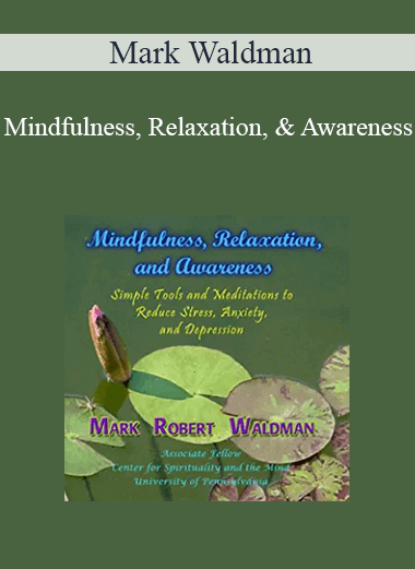 Purchuse Mark Waldman - Mindfulness
