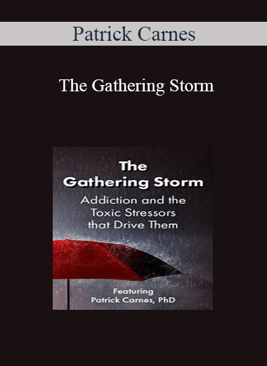 Purchuse Patrick Carnes - The Gathering Storm: Addiction and the Toxic Stressors that Drive Them course at here with price $119.99 $24.