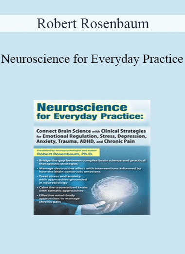 Purchuse Robert Rosenbaum - Neuroscience for Everyday Practice: Connect Brain Science with Clinical Strategies for Emotional Regulation