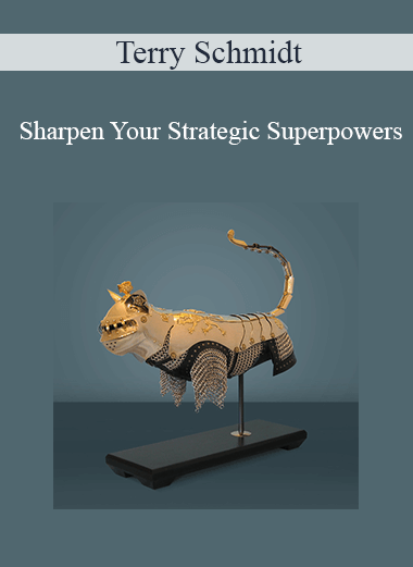 Purchuse Terry Schmidt - Sharpen Your Strategic Superpowers course at here with price $1997 $379.