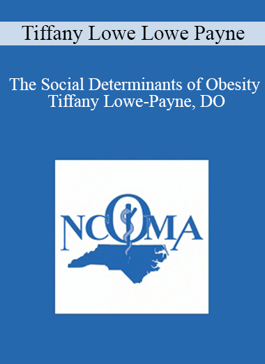 Purchuse Tiffany Lowe Lowe Payne - The Social Determinants of Obesity - Tiffany Lowe-Payne