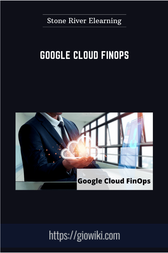 Purchuse Google Cloud FinOps - Stone River Elearning course at here with price $99 $29.