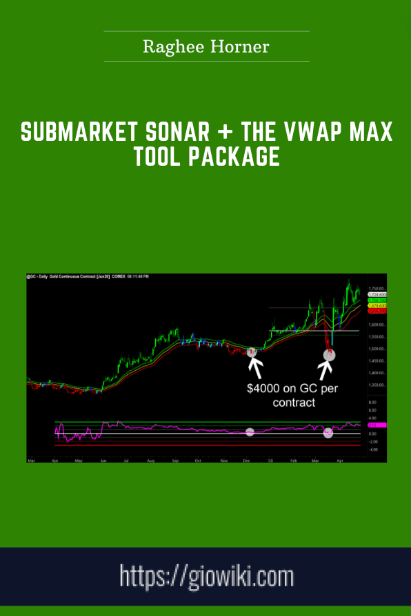Purchuse Submarket Sonar + The VWAP Max Tool Package - Raghee Horner course at here with price $697 $59.
