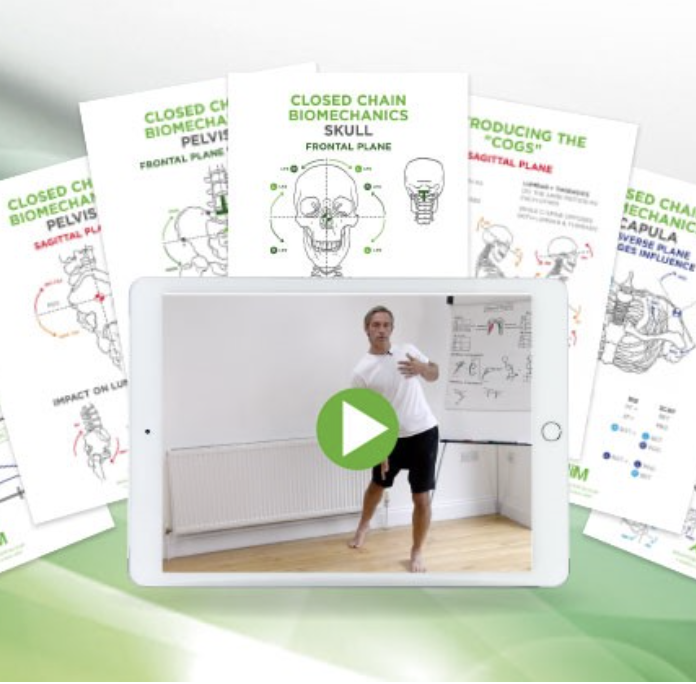 Purchuse Biomechanics Of The Upper Body In Motion 2023 - Gary Ward course at here with price $159 $59.